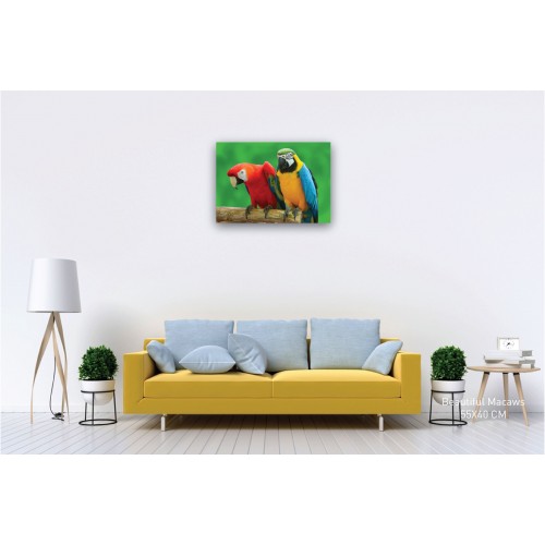Canvas - Beautiful Macaws