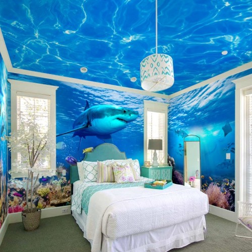 Aquatic Oasis
