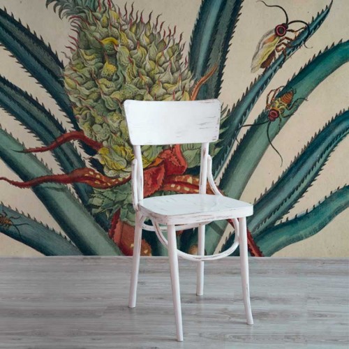Bromelia