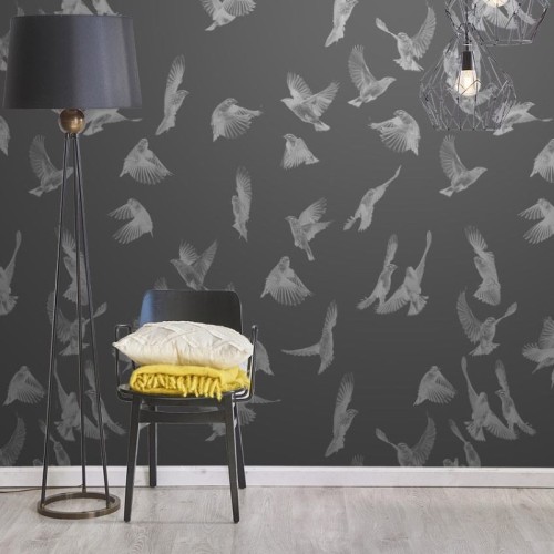 Birds of a Feather Night