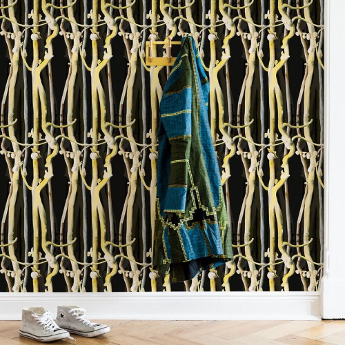 Yellow Branch – Black Back